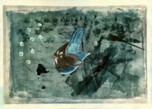 Birds6 notturno